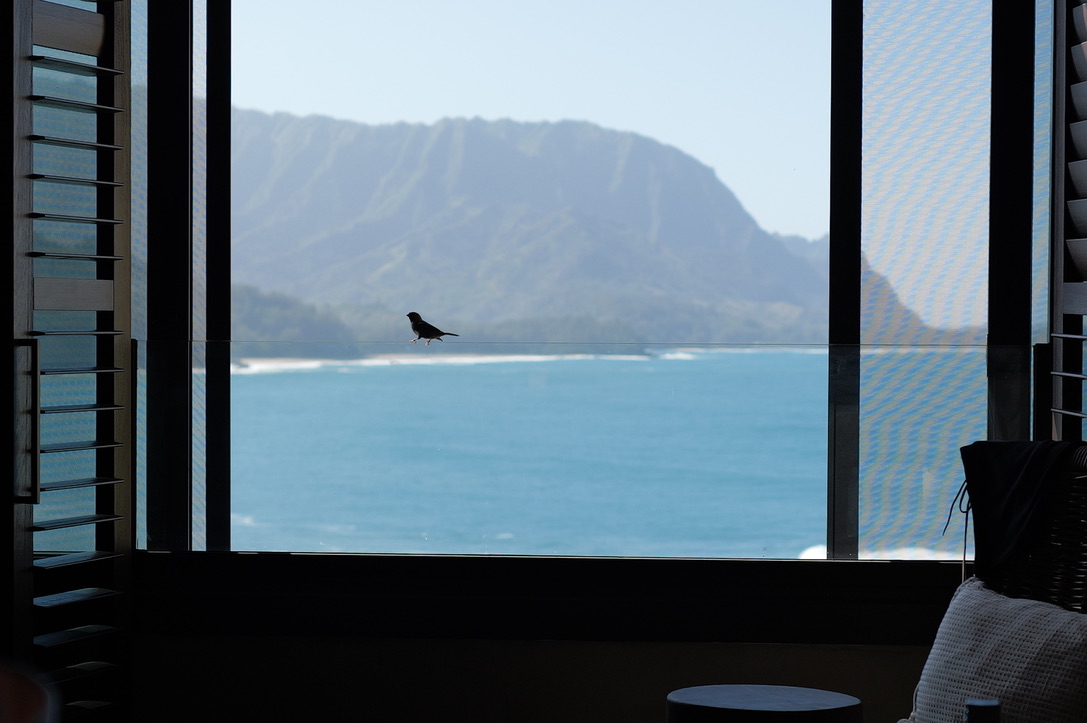 A Three-Day COZY Escape to Kauai