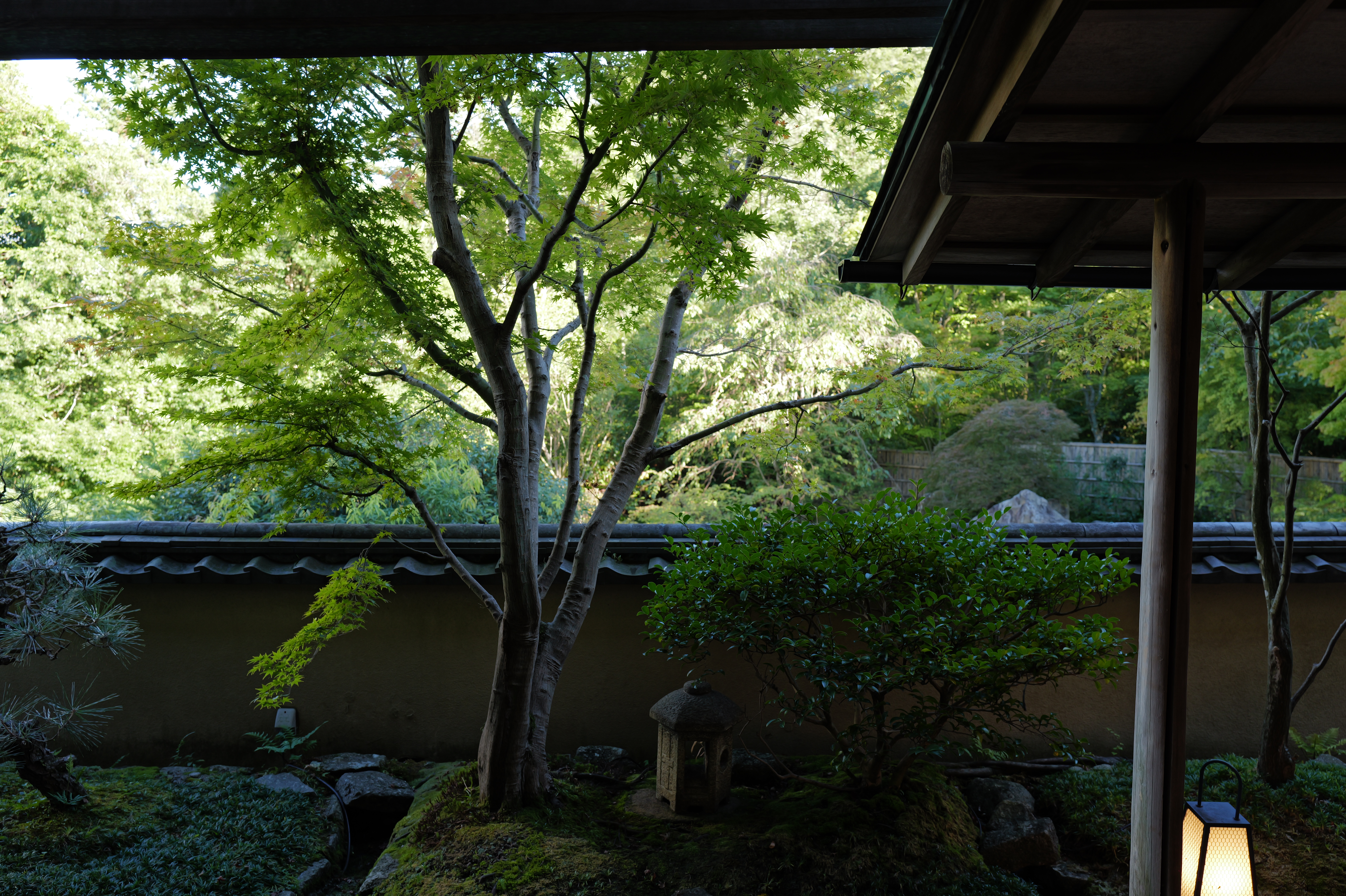 A Day in Hakone: The Perfect Stay at Gora Kadan