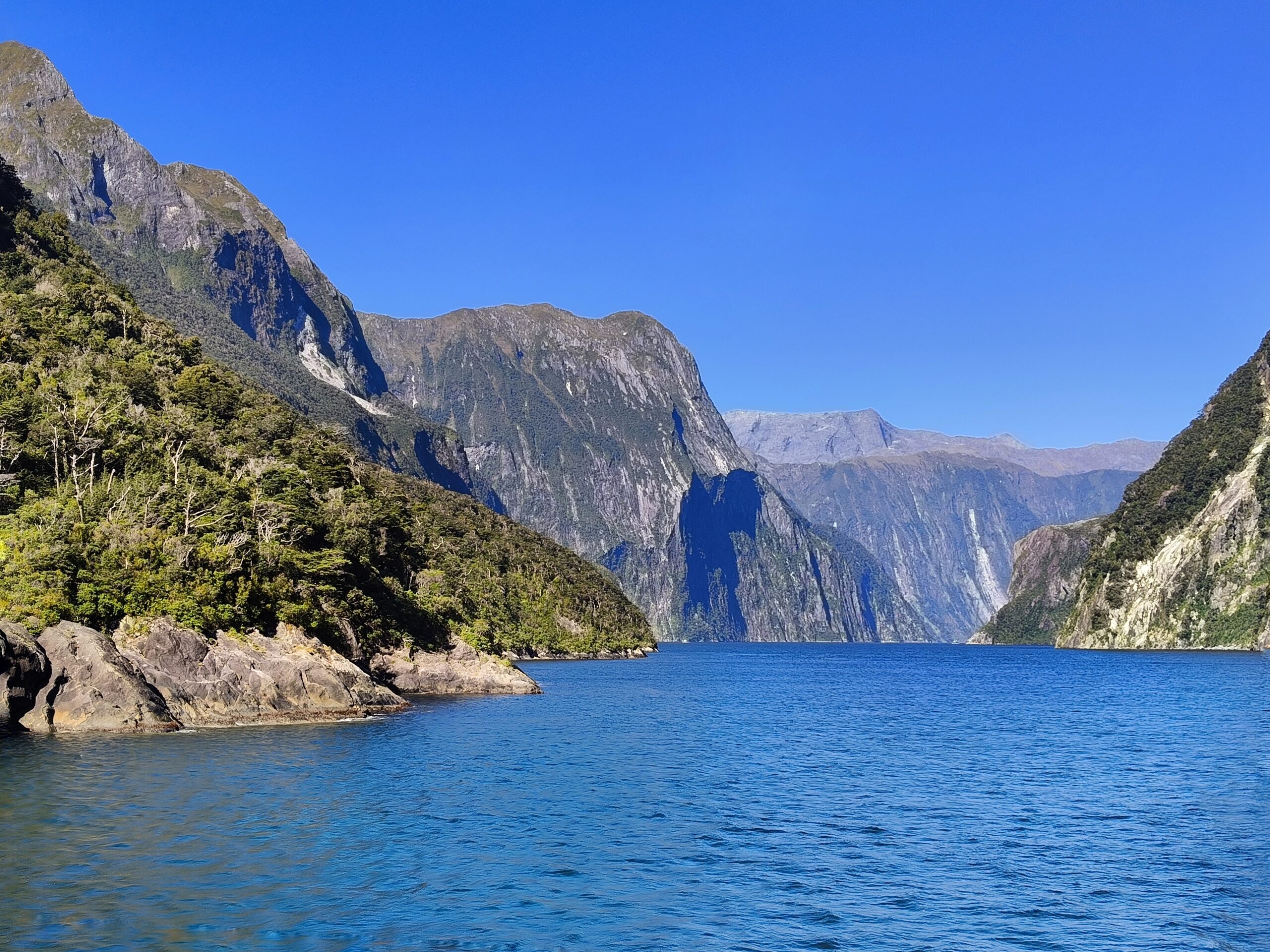 A COZY Experience: 12 Days in New Zealand